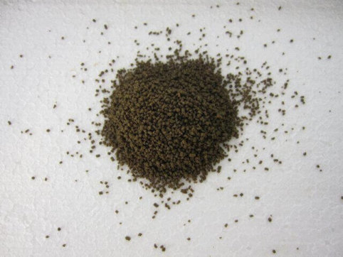 Garrafeed - Fischfutter – Bild 2