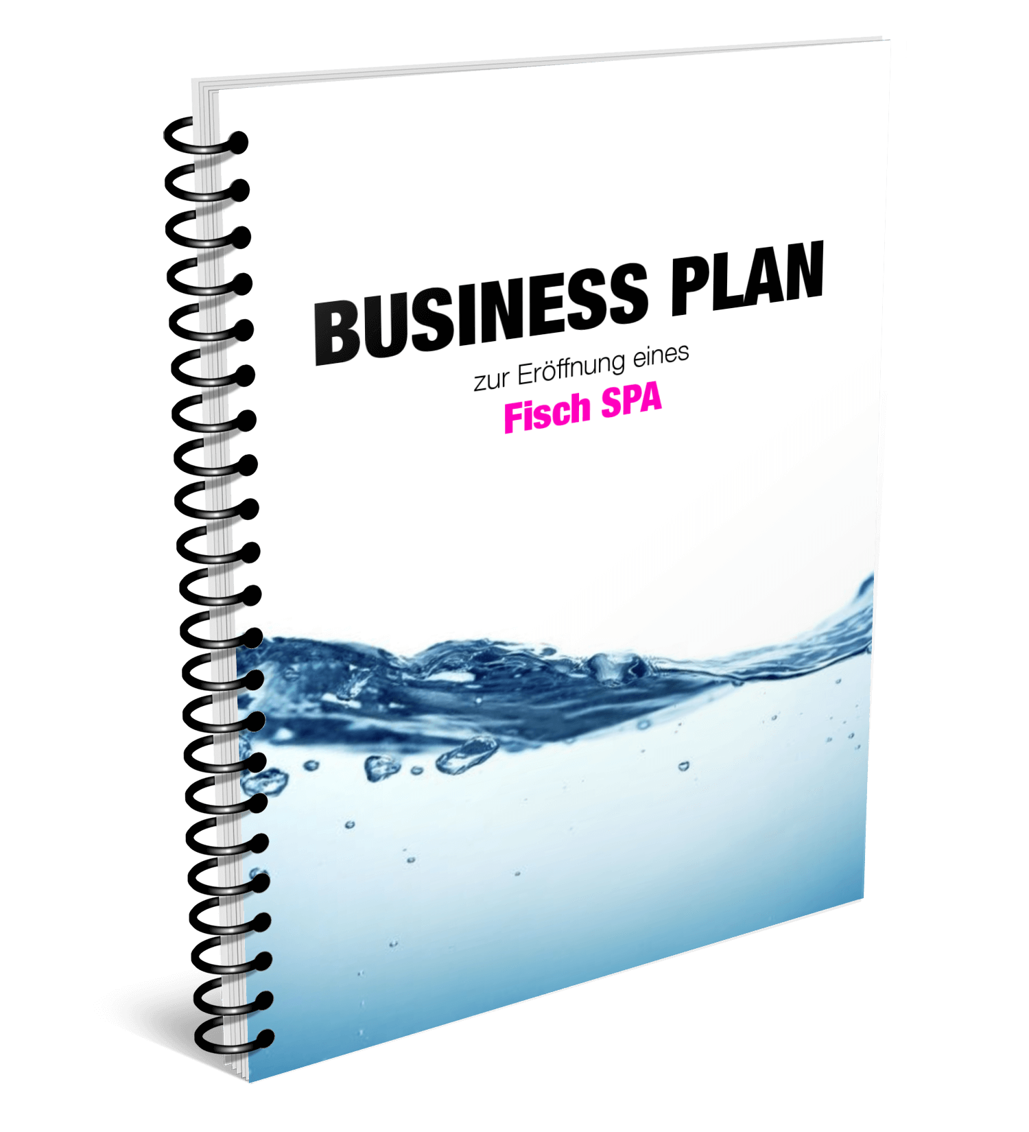 Fisch SPA Business Plan